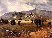 Albert Bierstadt Moat Mountain, Intervale, New Hampshire Germany oil painting artist